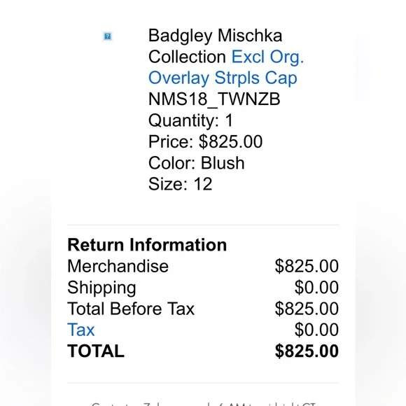 Neiman Marcus Badgley Mischka Blush Pink Strapless Gown w Organza Sheer Overlay - Picture 9 of 9